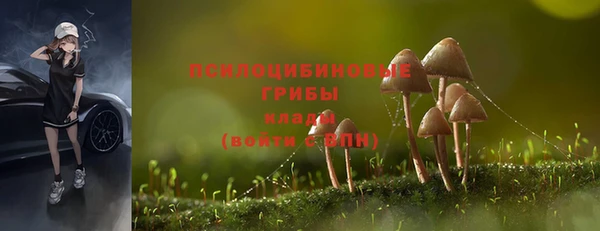 мдпв Киреевск