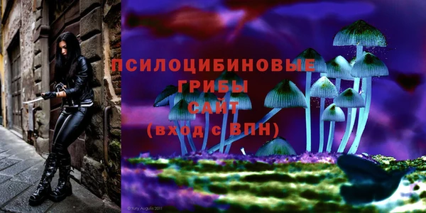 хмурый Киренск
