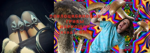 мдпв Киреевск